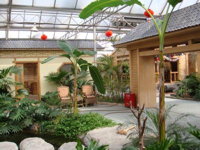 專(zhuān)業(yè)設(shè)計(jì) 施工各種鋼結(jié)構(gòu)智能溫室、鋼結(jié)構(gòu)室內(nèi)園林景觀(guān)生態(tài)園工程、網(wǎng)架花卉溫室工程
